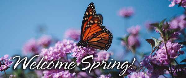 Spring Time