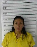 Mugshot of LANGLEY, ERICA JEAN