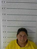 Mugshot of HERNANDEZ, ELIZABETH ANN