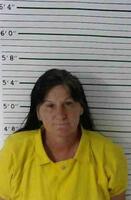 Mugshot of JOHNSON, AMANDA SUE