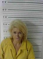 Mugshot of NUGENT, MICHELLE